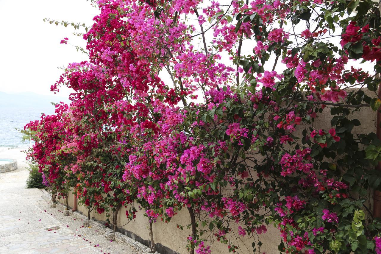 Bellavista Bougainville Bay Leilighet Sarandë